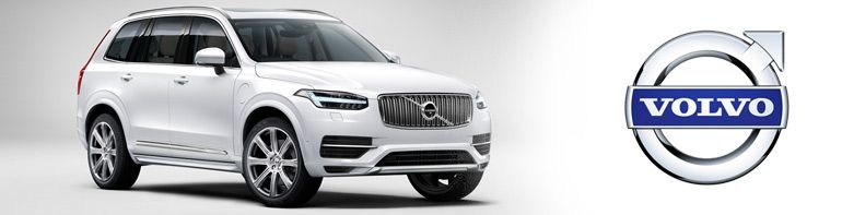 Showroom Volvo auto Borgo auto